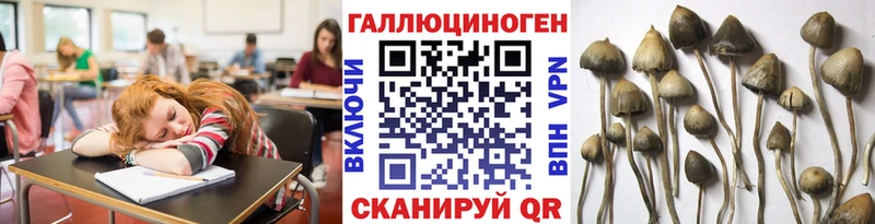 Галлюциногенные грибы Magic Shrooms  Пестово 